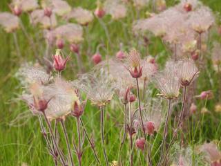 13422273_10154293567234801_6049559672847181899_o