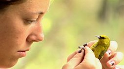 230699_25883939800_7842_n